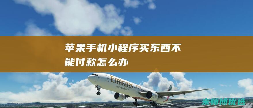 苹果手机小程序买东西不能付款怎么办