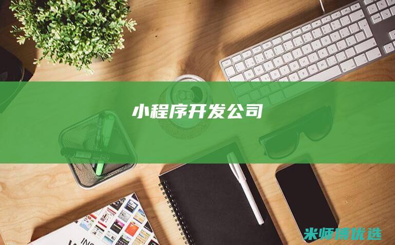 小程序-开发公司
