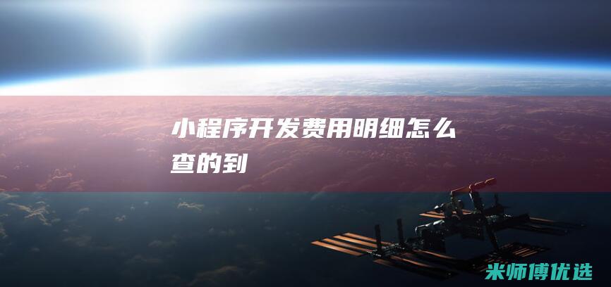 小程序开发费用明细怎么查的到