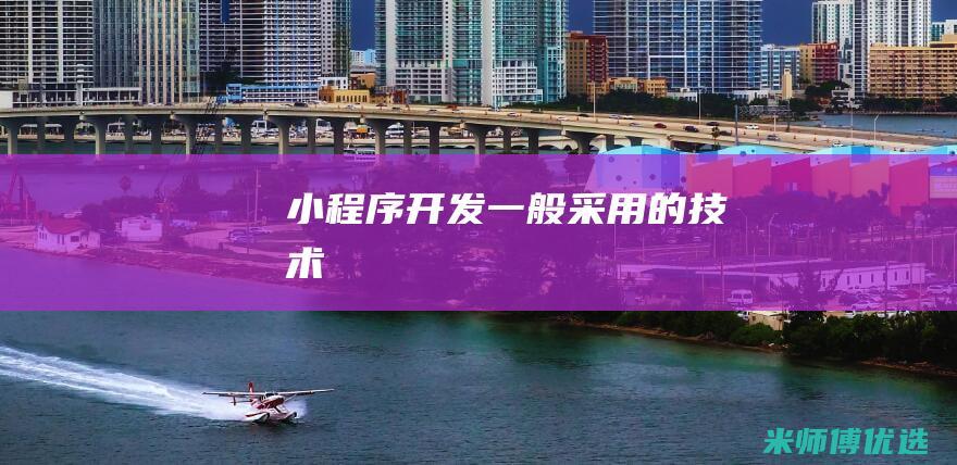 小程序开发一般采用的技术