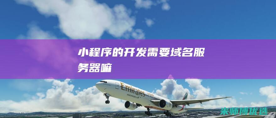 小程序的开发需要域名服务器嘛