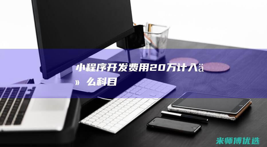 小程序开发费用20万计入什么科目
