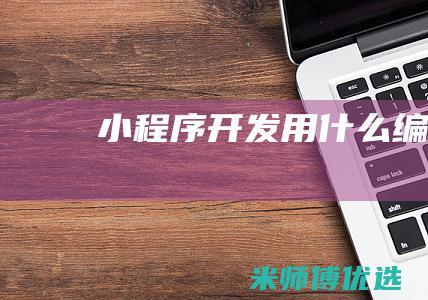 小程序开发用什么编程