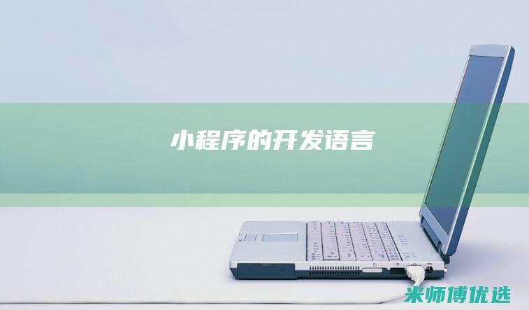 小程序的开发语言
