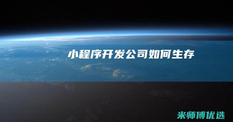 小程序开发公司如何生存
