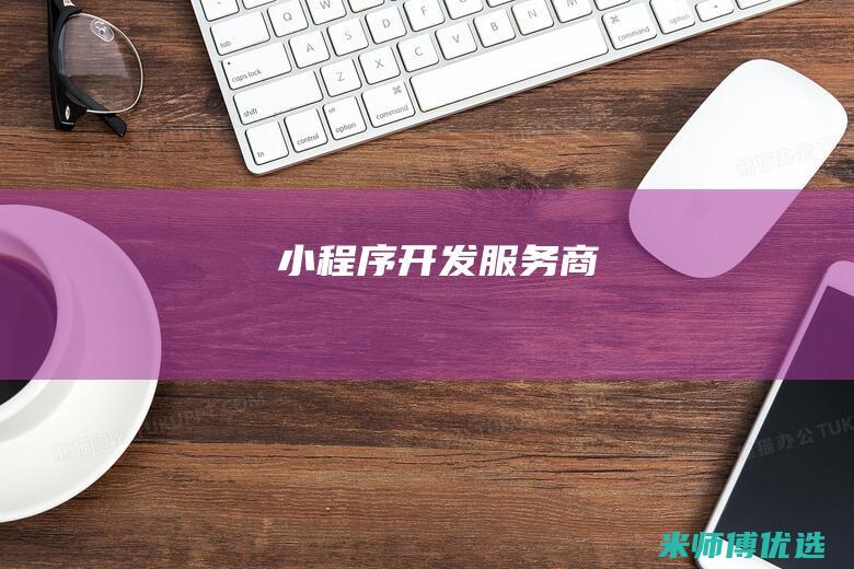小程序开发服务商