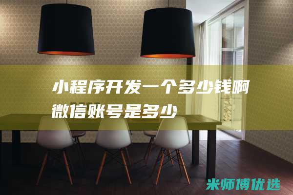 小程序开发一个多少钱啊微信账号是多少