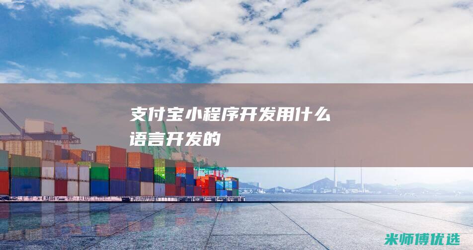 支付宝小程序开发用什么语言开发的