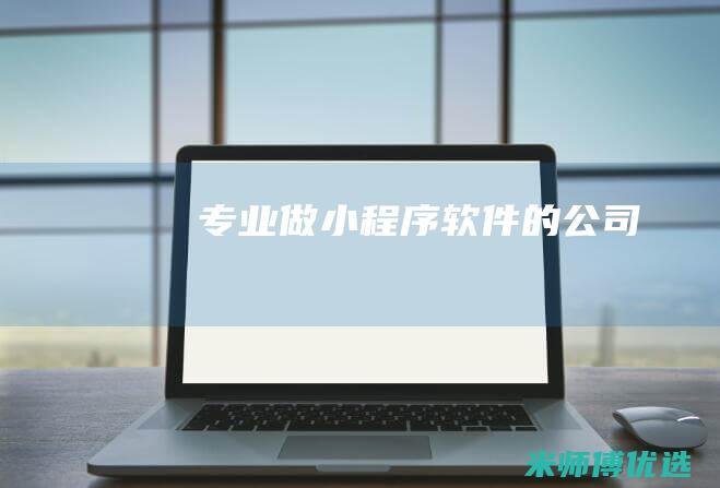 专业做小程序软件的公司