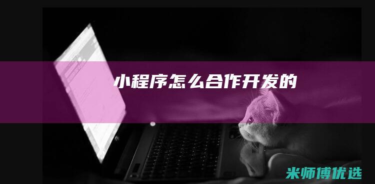 小程序怎么合作开发的