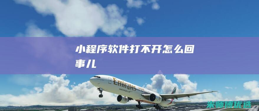 小程序软件打不开怎么回事儿