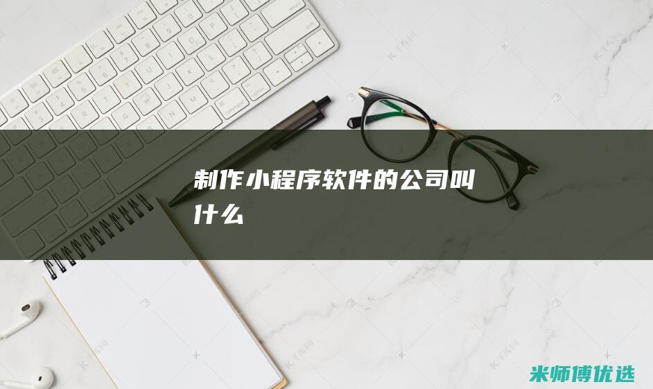 制作小程序软件的公司叫什么