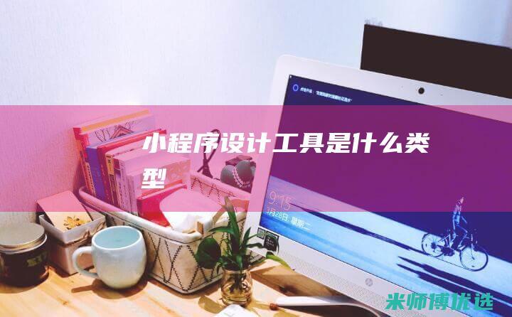 小程序设计工具是什么类型