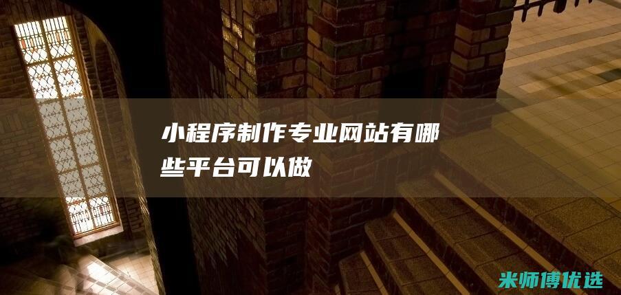 小程序制作专业网站有哪些平台可以做