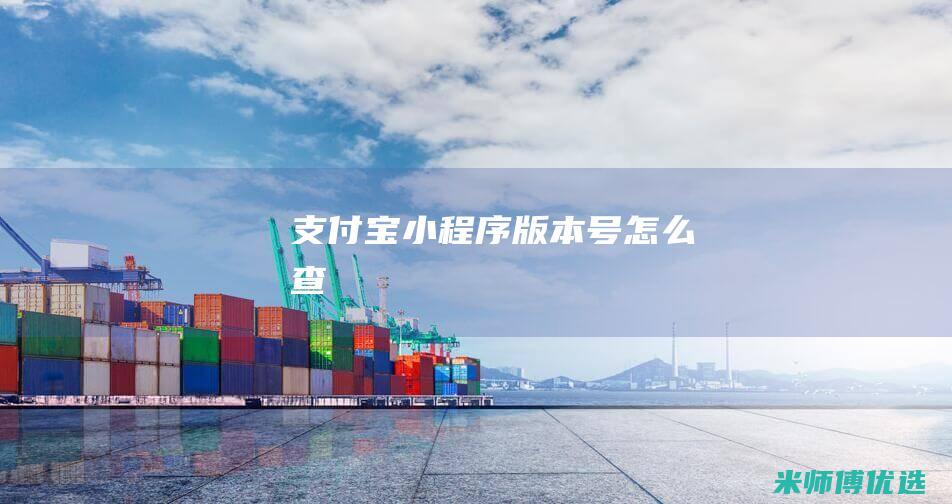 支付宝小程序版本号怎么查