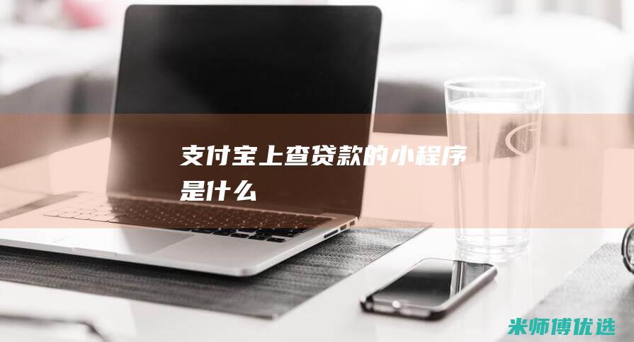 支付宝上查贷款的小程序是什么