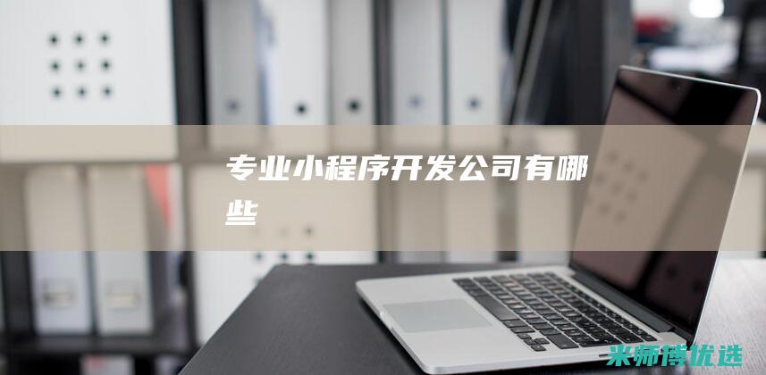 专业小程序开发公司有哪些