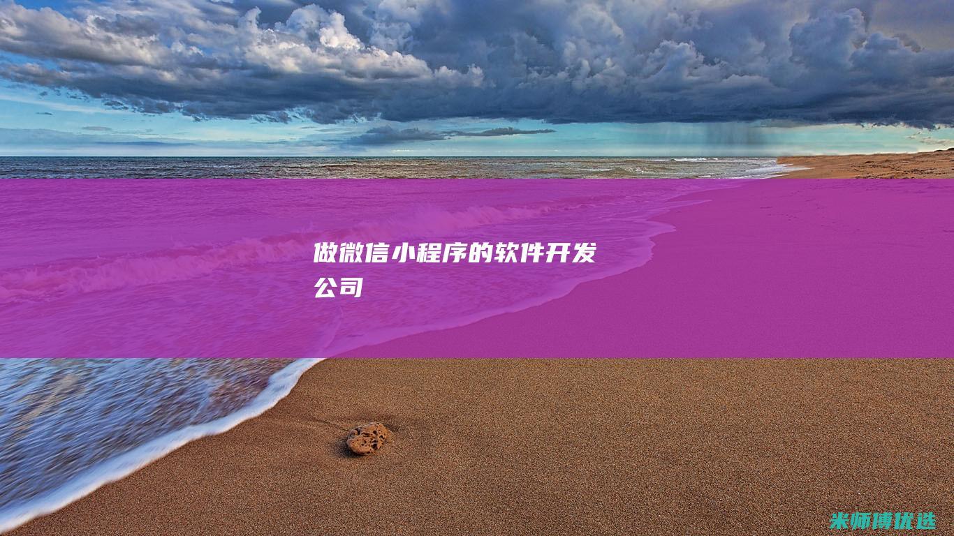 做微信小程序的软件开发公司