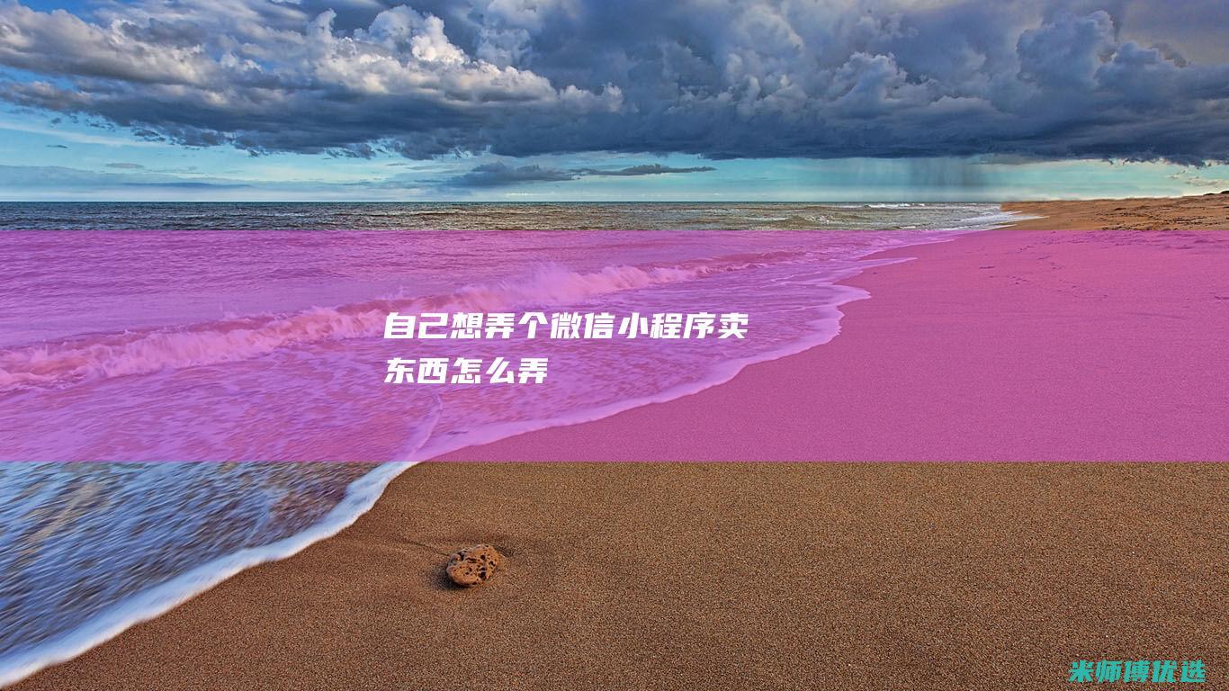 自己想弄个微信小程序卖东西怎么弄
