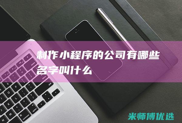 制作小程序的公司有哪些名字叫什么