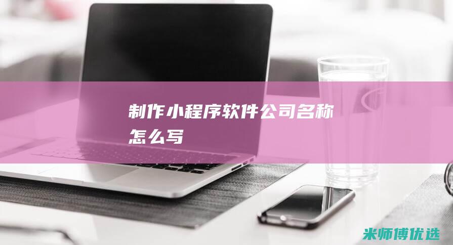 制作小程序软件公司名称怎么写