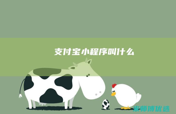 支付宝小程序叫什么