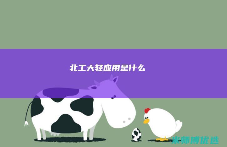 北工大轻应用是什么
